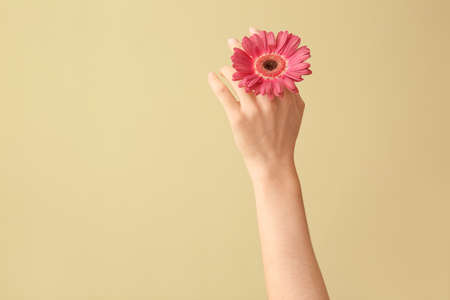 Female hand with beautiful flower on color backgroundの写真素材