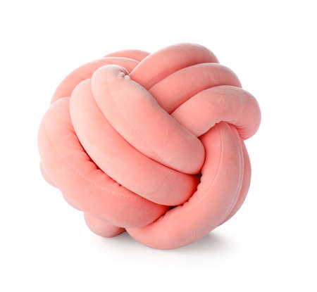 Creative decorative pillow on white background