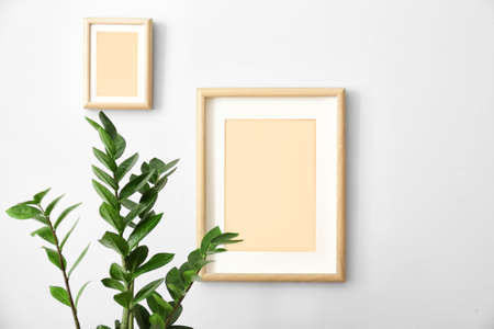 Green houseplant with photo frames on white wall