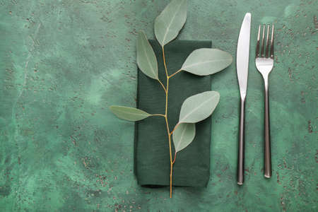 Beautiful table setting with eucalyptus on color backgroundの写真素材