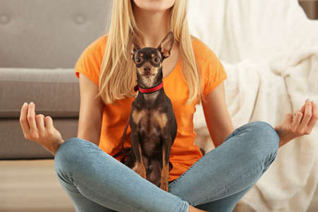 Beautiful young woman with cute toy terrier dog meditating at homeの写真素材