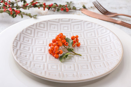 Beautiful table setting with berries, closeupの写真素材