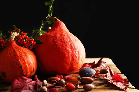 Fresh pumpkins with berries and acorns on wooden tableの写真素材