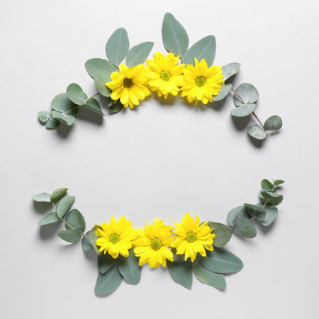 Composition with autumn flowers and eucalyptus on white backgroundの写真素材