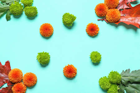Composition with autumn flowers and leaves on color backgroundの写真素材