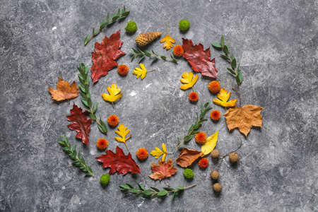 Composition with autumn flowers and leaves on grunge backgroundの写真素材