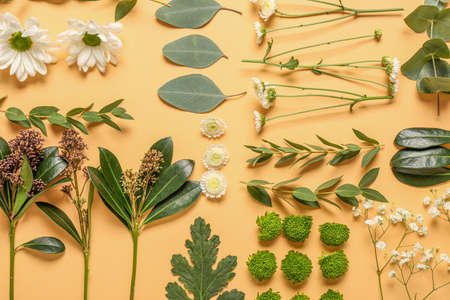 Composition with autumn flowers and leaves on color backgroundの写真素材