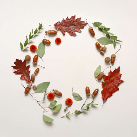 Composition with autumn leaves on white backgroundの写真素材