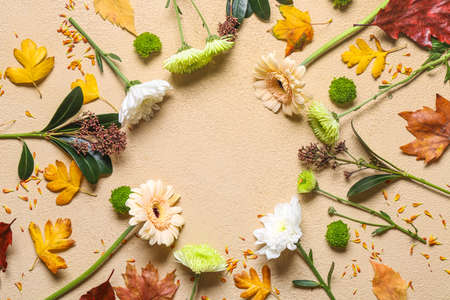 Composition with autumn flowers and leaves on color backgroundの写真素材