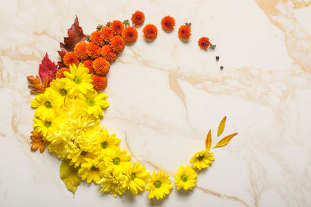 Composition with autumn flowers and leaves on white background