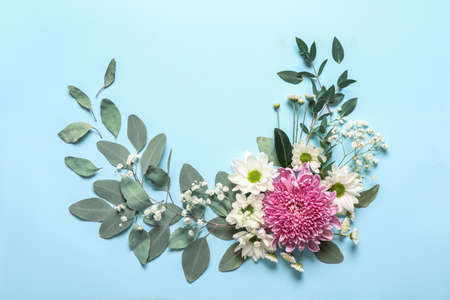Composition with autumn flowers and eucalyptus on color backgroundの写真素材