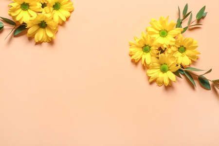 Composition with autumn flowers and eucalyptus on color backgroundの写真素材