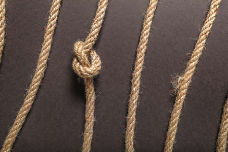 Ropes on dark background. Concept of uniqueness