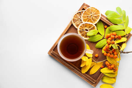 Beautiful autumn composition with cup of tea on white backgroundの写真素材