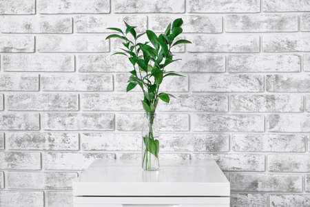 Vase with green plant on chest of drawers near brick wall