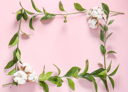 Frame made of branches and cotton flowers on color backgroundの写真素材