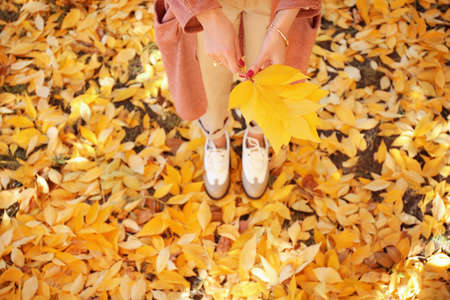 Beautiful young woman in autumn parkの写真素材
