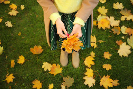 Beautiful young woman in autumn parkの写真素材