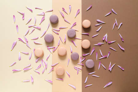 Tasty macarons with flower petals on color backgroundの写真素材