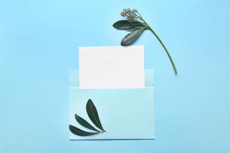 Mockup of invitation on color background