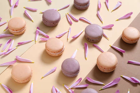 Tasty macarons with flower petals on color background