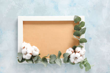 Beautiful cotton flowers with eucalyptus leaves and frame on color backgroundの写真素材