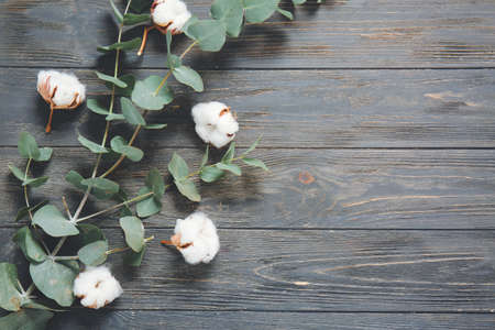 Beautiful cotton flowers with eucalyptus leaves on wooden backgroundの写真素材