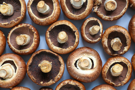 Fresh champignon mushrooms as background