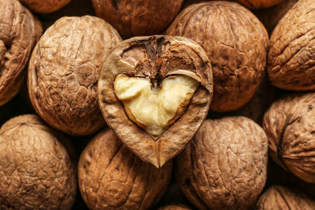 Many tasty walnuts as backgroundの写真素材