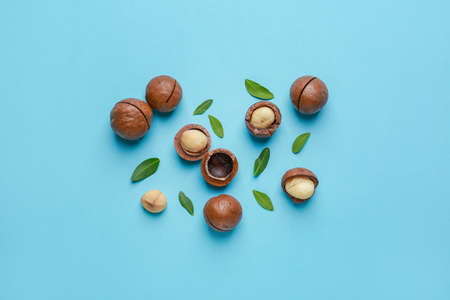Tasty macadamia nuts on color backgroundの写真素材
