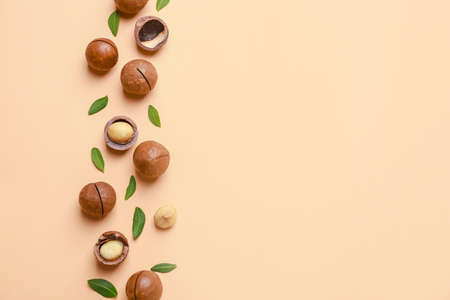 Tasty macadamia nuts on color backgroundの写真素材