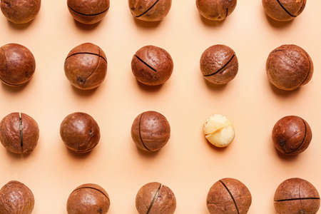 Tasty macadamia nuts on color background. Concept of uniqueness