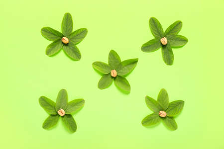 Composition with tasty pistachio nuts and leaves on color backgroundの写真素材