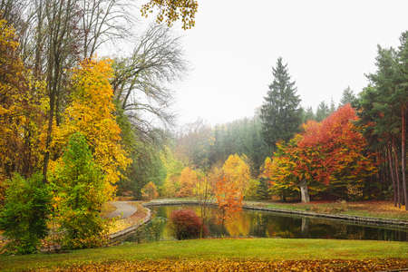 View of beautiful pond in autumn park