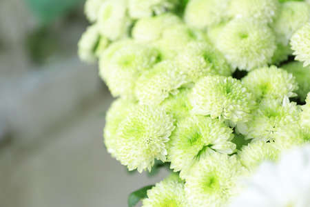 Bouquet of beautiful flowers in shop, closeupの写真素材