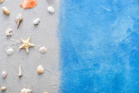 Beautiful sea shells and sand on color backgroundの写真素材