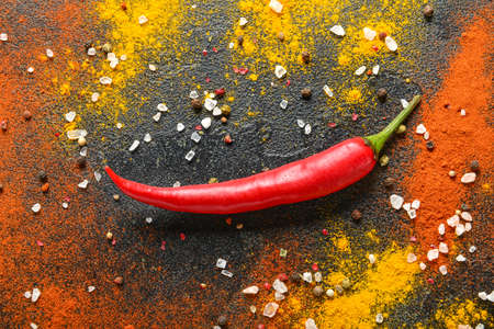 Chili pepper and different spices on dark backgroundの写真素材