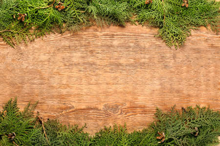 Green coniferous branches on wooden background