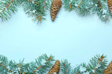 Green fir branches with snow and cones on color backgroundの写真素材