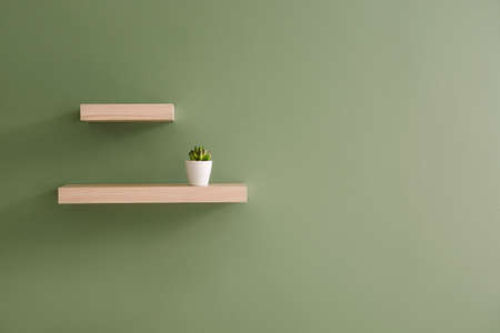 Shelves hanging on color wallの写真素材