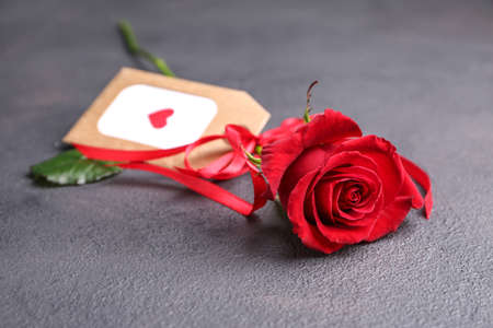 Rose flower with tag on gray background. Valentine's day celebrationの写真素材