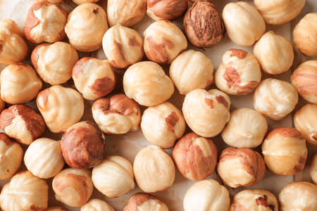 Many tasty hazelnuts as backgroundの写真素材