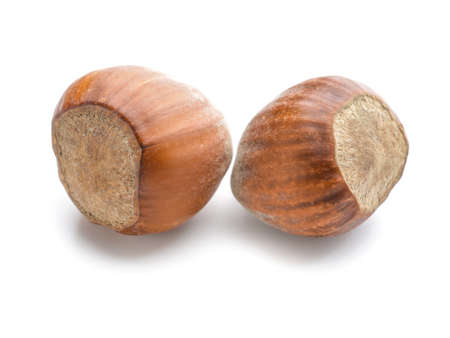 Tasty hazelnuts on white background