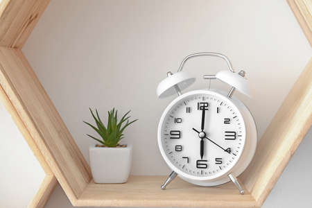 Alarm clock with plant on shelf hanging on wallの写真素材
