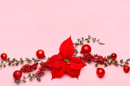 Beautiful Christmas composition with poinsettia on color backgroundの写真素材