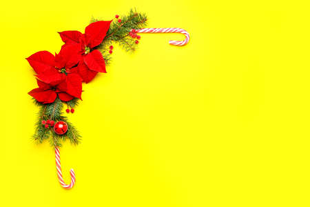 Beautiful Christmas composition with poinsettia on color backgroundの写真素材