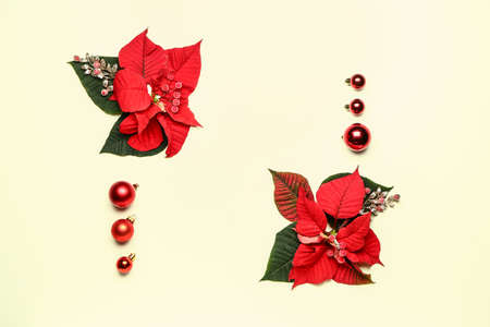 Beautiful Christmas composition with poinsettia on white backgroundの写真素材