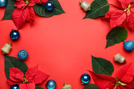 Beautiful Christmas composition with poinsettia on color backgroundの写真素材