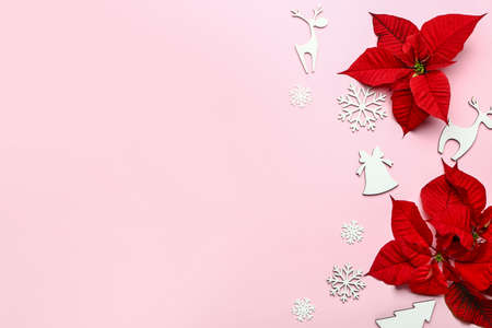 Beautiful Christmas composition with poinsettia on color backgroundの写真素材
