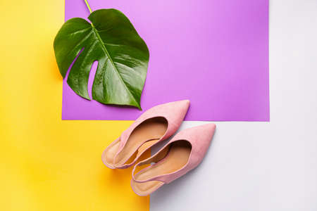 Stylish female shoes and tropical leaf on color backgroundの写真素材